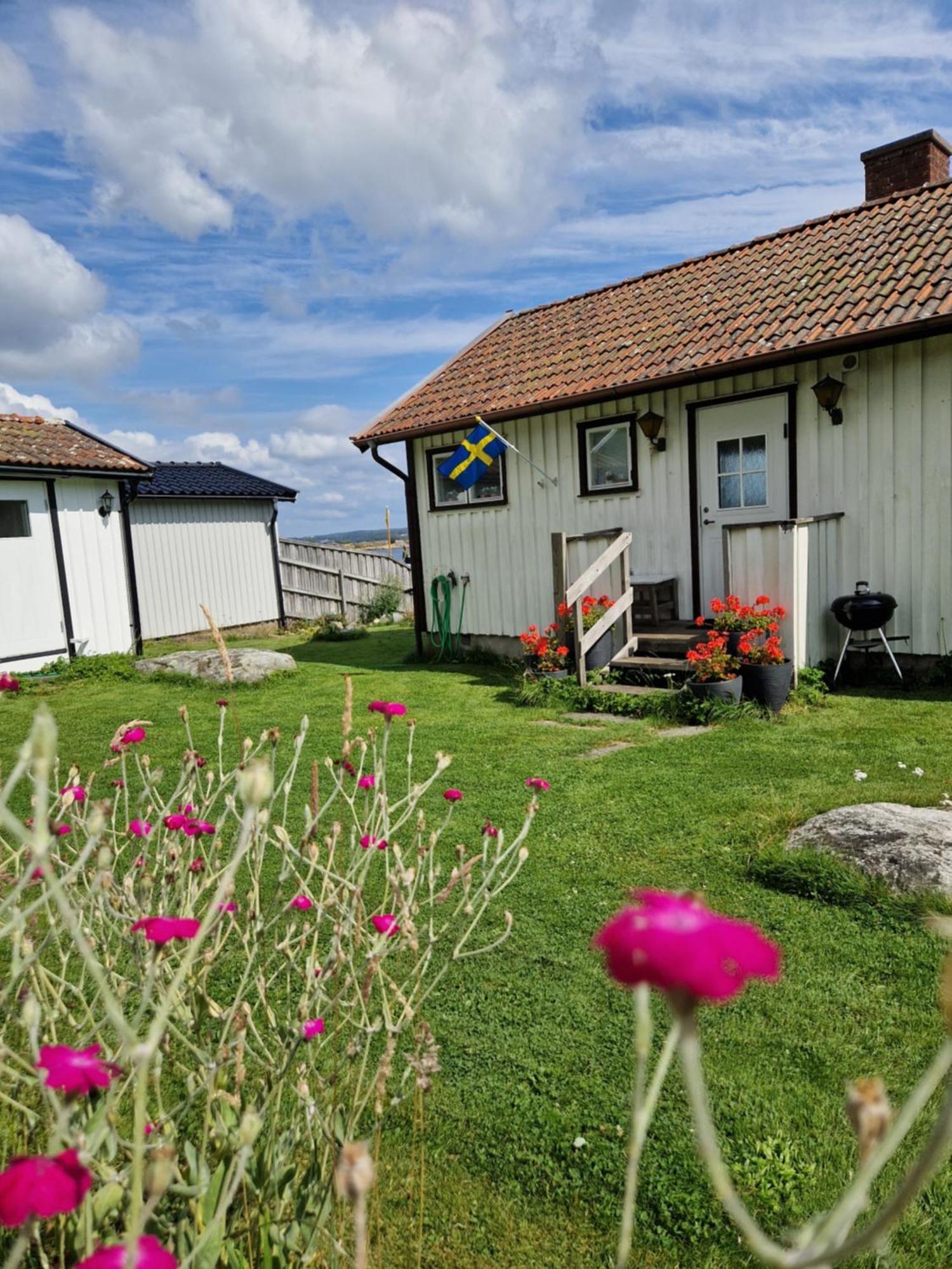 Cabin At The Sea Close To Public Beach With A Jumpingtower Hoviksnas Exterior foto